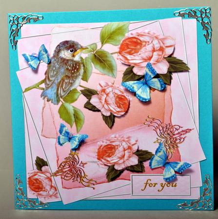 Little Birdie -  by Kristina Norbat