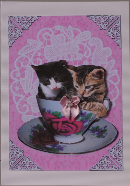 Kittens in a Cup by Kristina Norbat