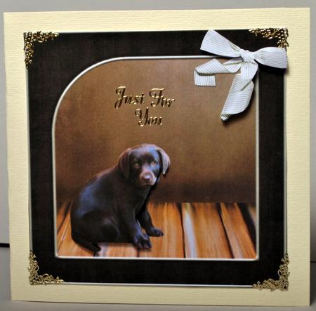 Brown Labrador Card Front by Kristina Norbat