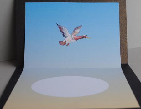 Flying Birds Insert Landscape by Kristina Norbat