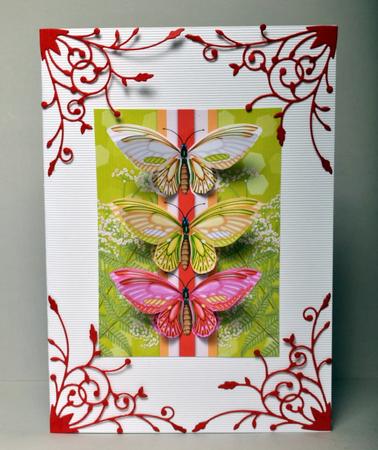 Butterfly Greeting Card Front for Any Occasion by Kristina Norbat