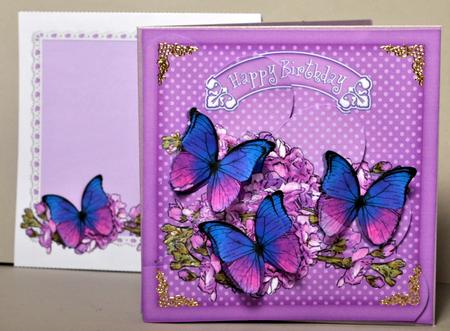 8 x 8 Birthday Butterflies Fan Pyramage Kit by Kristina Norbat