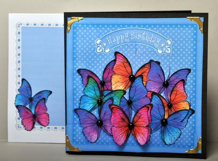 8 x 8 Birthday Butterflies Fan Pyramage Kit by Kristina Norbat