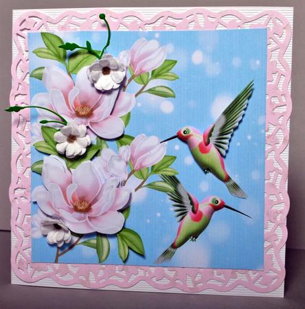 Humming Bird and Flower Birthday Card Front by Kristina Norbat