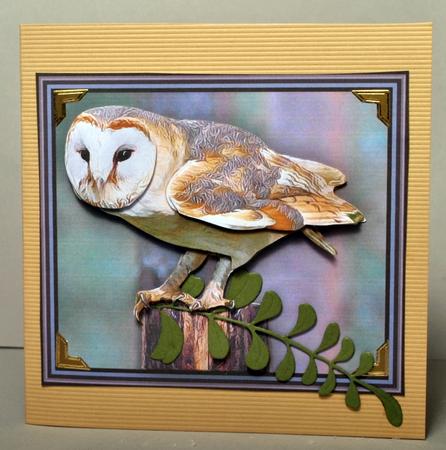 Barn Owl 3D Decoupage by Kristina Norbat