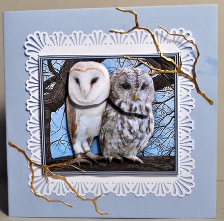 Barn Owl & Tawny Owl 3D Decoupage by Kristina Norbat