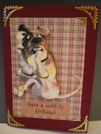 The Cross Legged Dog by Kristina Norbat