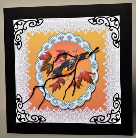 Bird in Lace Frame 1 by Kristina Norbat