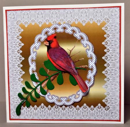 Bird in Lace Frame 2 by Kristina Norbat