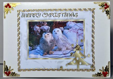 Owls in Snow by Kristina Norbat
