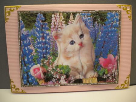 White Kitten Within the Lupin Flowers by Kristina Norbat