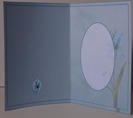 Floral Insert #4 by Kristina Norbat