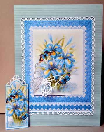 Iris & Butterflies Corner Pocket Card by Kristina Norbat