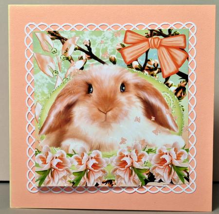 Bunny Love by Kristina Norbat