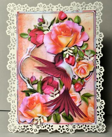 Humming Bird Card Front by Kristina Norbat