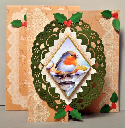 Blue Robin Borange Fold Back Lace Card and Envelope Kit by Kristina Norbat