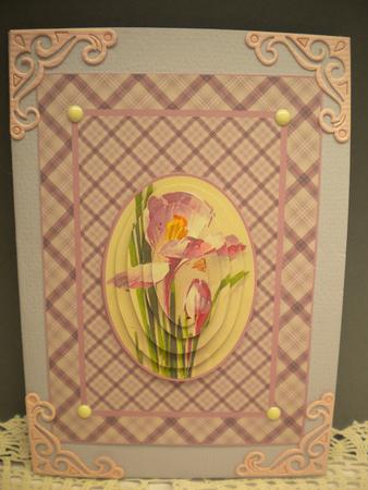 Pretty Iris and Plaid Card Front and Pyramid by Kristina Norbat