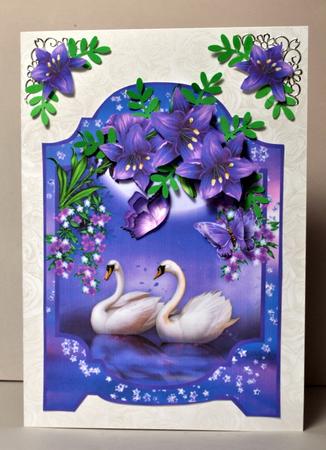 Swan Song Screen Card by Kristina Norbat