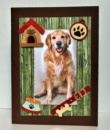 Alfie! Golden Retriever Sitting by Kristina Norbat