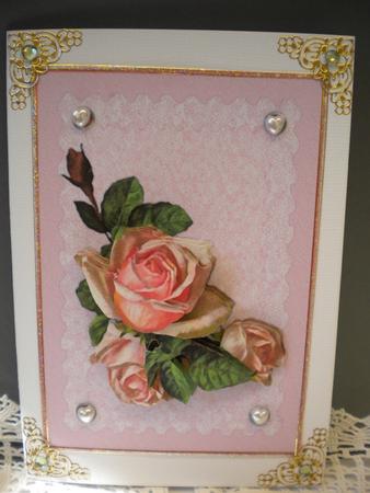 Pink Rose on Lace by Kristina Norbat