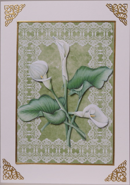Beautiful Framed Cala Lillies by Kristina Norbat
