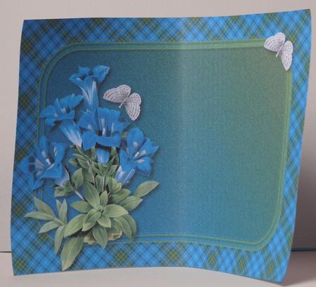 Gentian & Butterfly Insert by Kristina Norbat