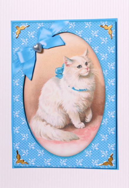 Sophisticated Cat in Blue Ribbon - Framed Card Front by Kristina Norbat