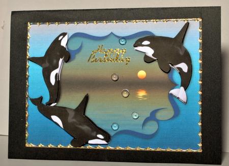 Ocean - Orcas by Kristina Norbat