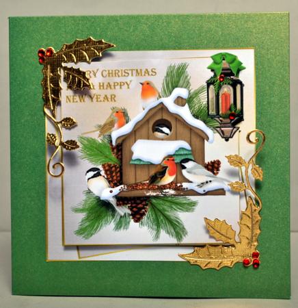 Christmas Birds by Kristina Norbat