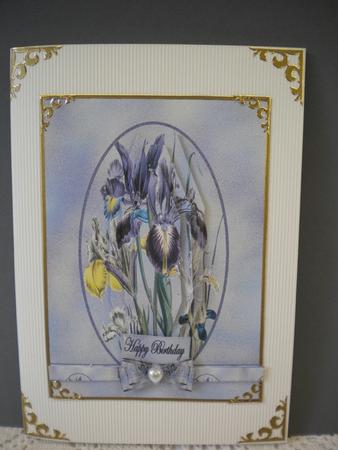 Iris in Oval Frame by Kristina Norbat