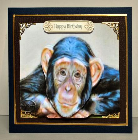 Monkeying Around by Kristina Norbat