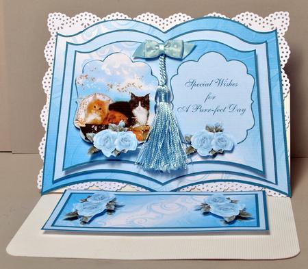 Cute Kittens Easel Book by Kristina Norbat