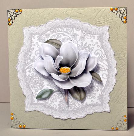 Cu 6 Floral & Lace Mats by Kristina Norbat