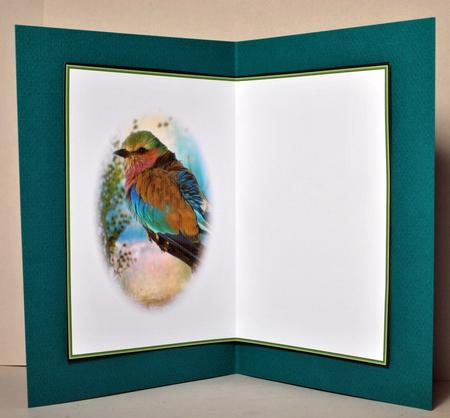 Morning Bird Blank Insert by Kristina Norbat