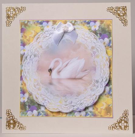 Swan Anniversary/birthday by Kristina Norbat