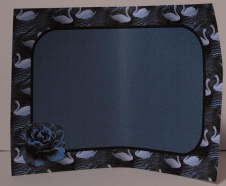 Swans Insert by Kristina Norbat