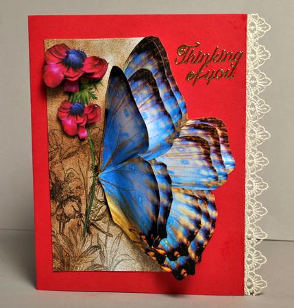 Oriental Butterflie Over the Edge by Kristina Norbat