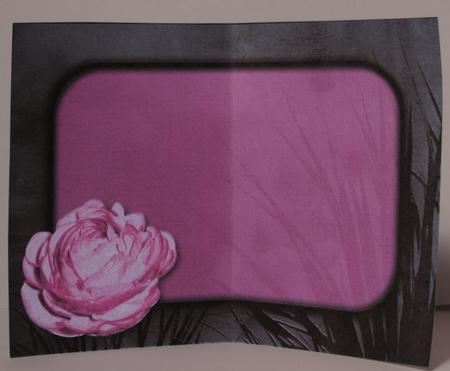 Pink Rose Insert by Kristina Norbat