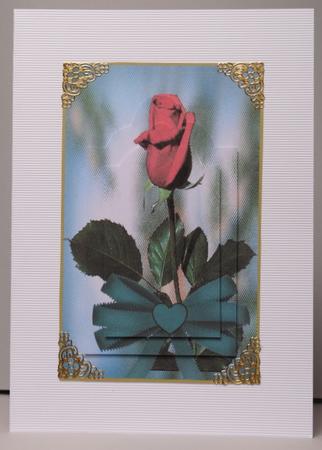 Red Rose Perfect Happy Birthday Best Wishes by Kristina Norbat