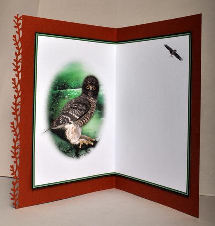 Night Watch Owl Blank Insert by Kristina Norbat