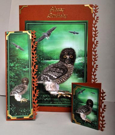 The Night Watch Owl Mini Kit by Kristina Norbat