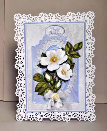 White Wild Roses Card Front by Kristina Norbat
