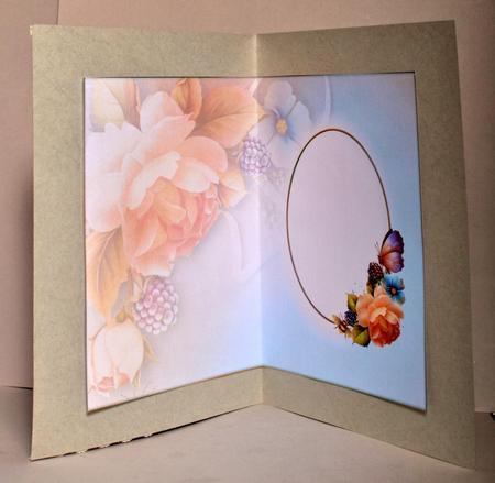 Summer Butterflies & Roses Blank Insert by Kristina Norbat