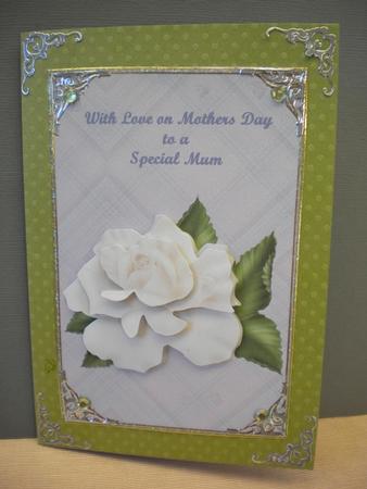 Mothers Day White Rose by Kristina Norbat