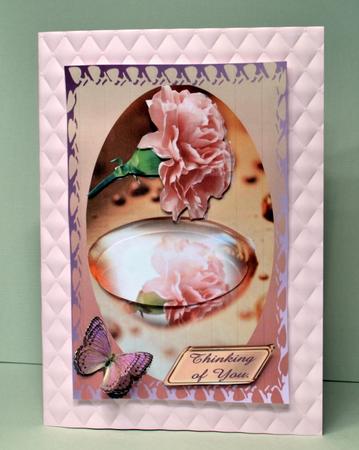 Pink Carnation by Kristina Norbat