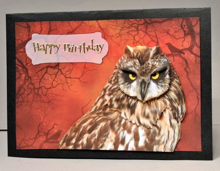 Night Owl Card Front by Kristina Norbat