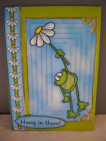 Hang in There Froggy - Pyramid by Kristina Norbat