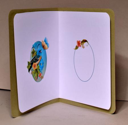 The Winged Friends and Suculent Flowers Insert by Kristina Norbat