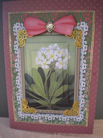 White Primula A5 Lace Card Front Step by Step by Kristina Norbat