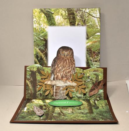 Boobook Owl Easel Card Kit by Kristina Norbat